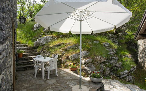 Fabbriche di Vallico 627: Plante, Communauté Des Plantes, Parapluie, Ombre, Chaise, Arbre, Table, Mobilier De Jardin, Loisir, Tableau De Plein Air