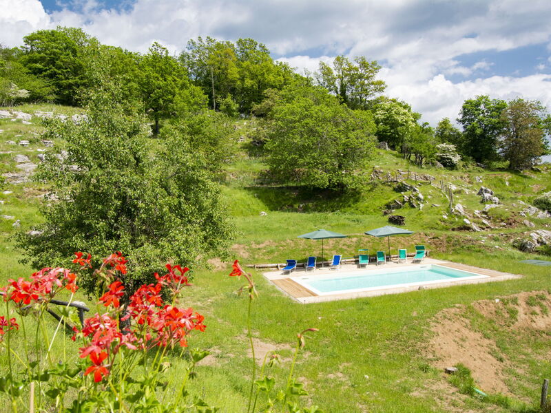 Logement:&nbsp;Paradiso i 627.2