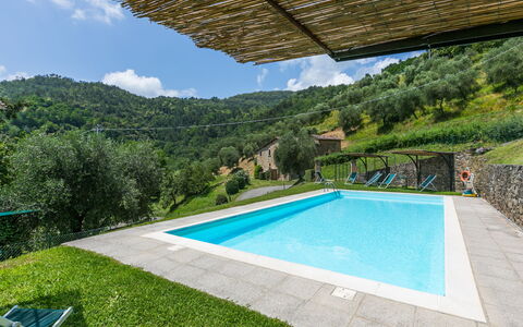Pescia 626: L'Eau, Propriété, Plante, Nuage, Ciel, Piscine, Bâtiment, Bleu Azur, Ombre, Arbre