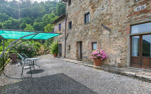 Pescia 626: Plante, Bâtiment, Fenêtre, Pot De Fleur, Fleur, Surface De La Route, Maison, Sol, Porte, Plante D'Appartement