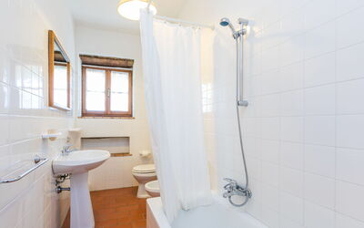 Logement:&nbsp;Podere Cima a Zano Apt. Tinaia 626.9