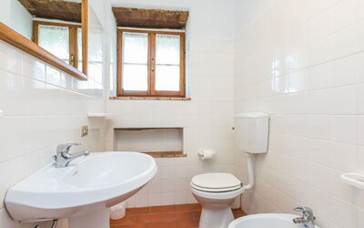Logement:&nbsp;Podere Cima a Zano Apt. Tinaia 626.9