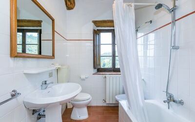 Logement:&nbsp;Podere Cima a Zano Apt. Tinaia 626.9