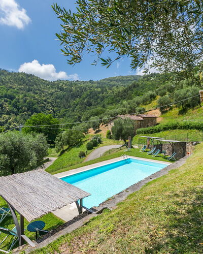 Pescia 626