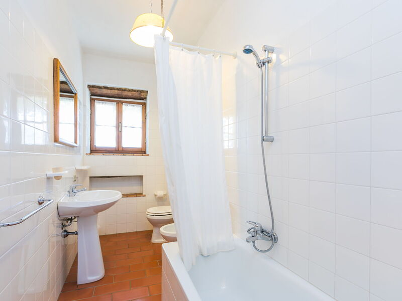 Logement:&nbsp;Podere Cima a Zano Apt. Tinaia 626.9