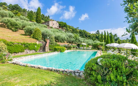 Pescia 627: L'Eau, Nuage, Plante, Ciel, Ressources En Eau, Bleu Azur, Piscine, Paysage Naturel, Arbre, Loisir