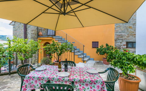 Pescia 629: Table, Plante, Meubles, Propriété, Bâtiment, Pot De Fleur, Chaise, Tableau De Plein Air, Ombre, Parapluie
