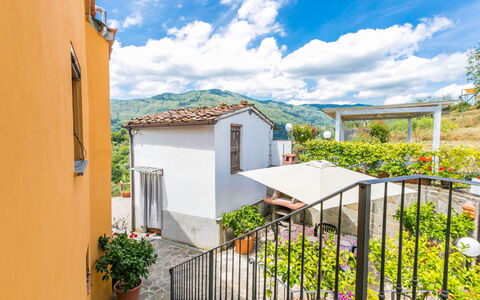 Pescia 629: Nuage, Ciel, Plante, Propriété, Bâtiment, Fleur, Fenêtre, Maison, Jaune, Pot De Fleur