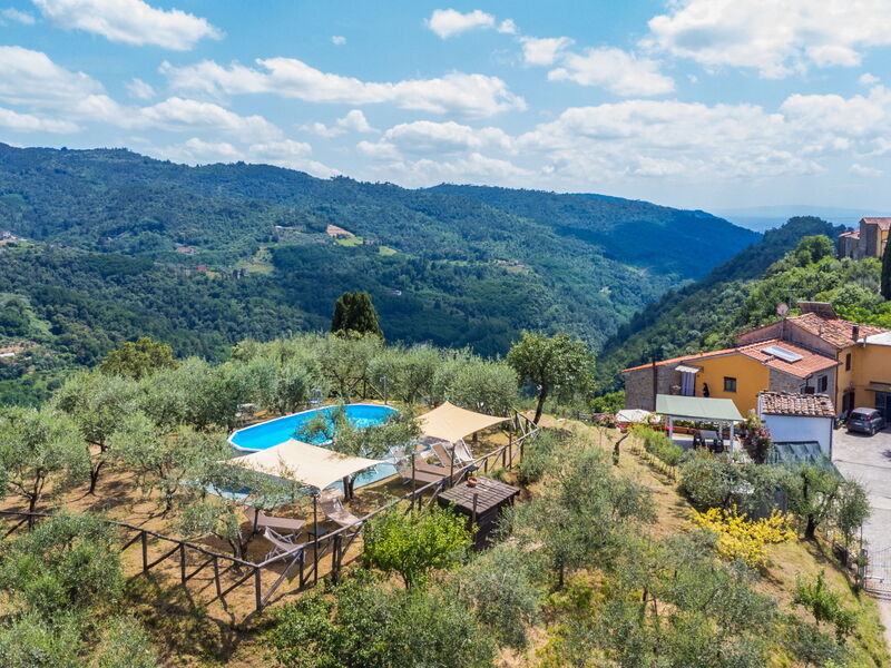 Pescia 629