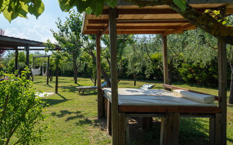 Le Buche: Plante, Propriété, Ombre, Botanique, Ciel, Loisir, Herbe, Espace Public, Belvédère, Paysage