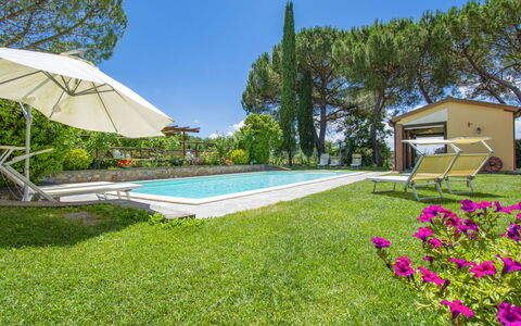 Bucine 609: Plante, Ciel, Fleur, Arbre, Ombre, Mobilier De Jardin, Lot Terre, Bâtiment, Parapluie, Piscine