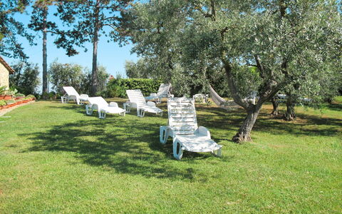 Linari 603: Arbre, Propriété, Herbe, Pelouse, Cour, Lot Terre, Plante, Jardin, Parc, Prairie