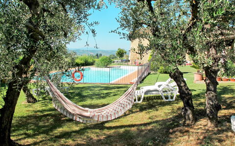 Linari 603: Arbre, Herbe, Suppression Des Plantes Ligneuses, Printemps, Plante, Lot Terre, Paysage, Loisir, Zone Rurale
