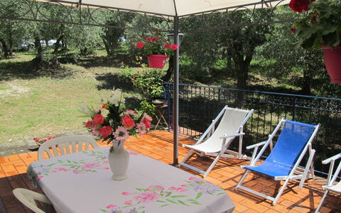 Logement:&nbsp;Conte Francesco Ii 650.5