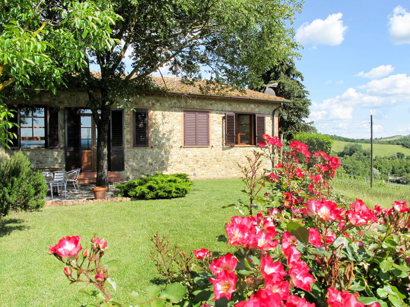 Castellina in Chianti 618