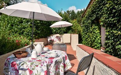 Logement:&nbsp;Bardeggiano - Caterina 6 616.3