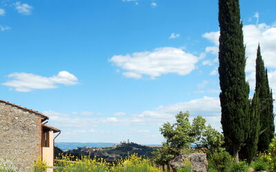 Logement:&nbsp;Fattoria di Fugnano 647.1