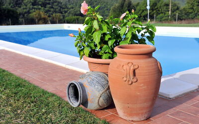 Massa Marittima 641: Plante, Fleur, Pot De Fleur, Ciel, Plante D'Appartement, Bois, L'Eau, Mobilier De Jardin, Herbe, Piscine