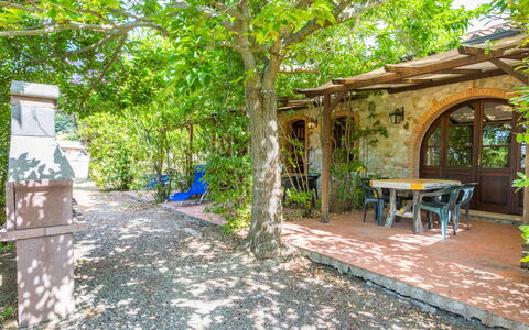 Logement:&nbsp;Falco 626.26