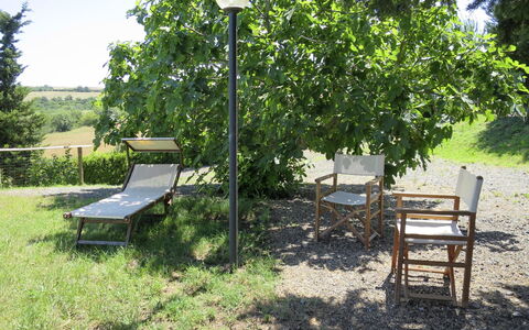 Guardistallo 640: Plante, Meubles, Extérieur Banc, Vert, Ombre, Mobilier De Jardin, Table, Arbre, Lumière Du Soleil, Herbe