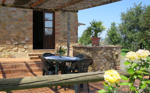 Guardistallo 640: Propriété, Bâtiment, Maison, Chalet, Pièce, Mur, Patio, Immobilier, Meubles, Fleur