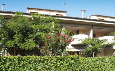 Eucalipto