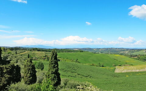 Lajatico 602: Nuage, Ciel, Plante, Écorégion, Vert, Paysage Naturel, Environnement Naturel, Arbre, Lot Terre, Montagnes