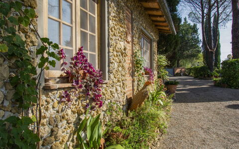 Il Crocino Ii: Fleur, Plante, Bâtiment, Fenêtre, Maison, Arbre, Bois, Zone Résidentielle, Quartier, Chalet