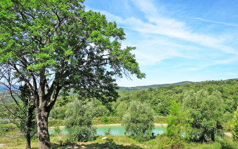 Roccastrada 617: Arbre, Paysage Naturel, La Nature, Vert, Végétation, Propriété, Ciel, Réserve Naturelle, Herbe, Environnement Naturel