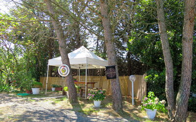 Santa Luce 604