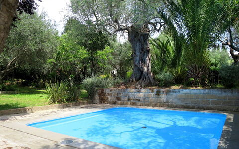 Castiglione della Pescaia 610: L'Eau, Plante, Propriété, La Nature, Arbre, Ombre, Végétation, Herbe, Paysage Naturel, Arecales