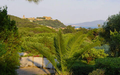 Castiglione della Pescaia 610: Ciel, Plante, Montagne, Nuage, Arbre, Paysage Naturel, Montagnes, Arbuste, Herbe, Paysage