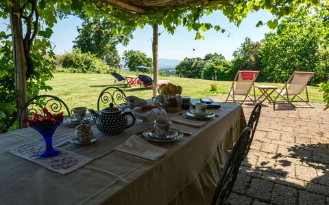 Ginestra: Plante, Table, Propriété, Vaisselle, Ciel, Arbre, Tableau De Plein Air, Mobilier De Jardin, Architecture, Ombre