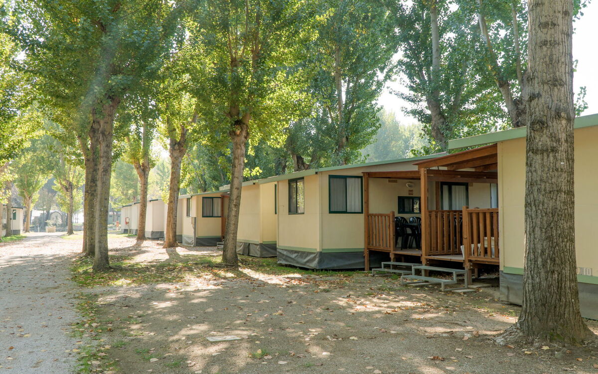 Logement:&nbsp;Punta Navaccia 604.1