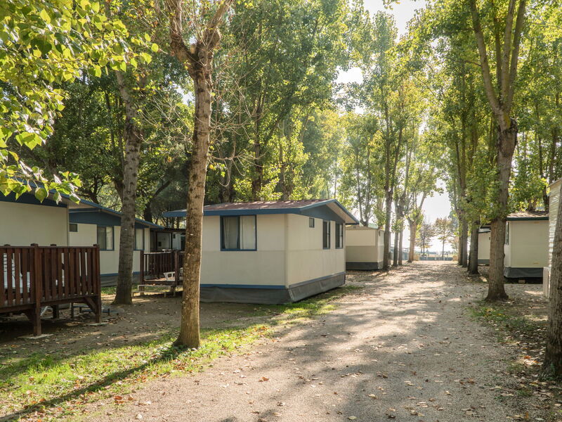 Logement:&nbsp;Punta Navaccia 604.1
