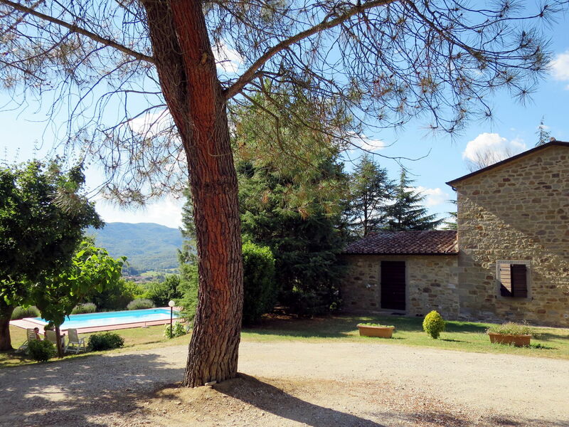 Lago Trasimeno 605