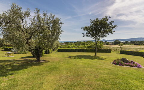 Lago di Bolsena 663: Ciel, Bleu, Herbe, Arbre, Vert, Paysage Naturel, Paysage, Plaine, Arbuste, Prairie