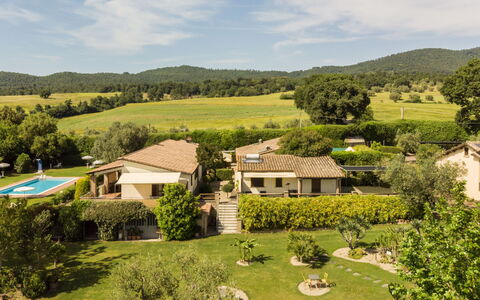 Lago di Bolsena 663: Prairie, Lot Terre, Zone Rurale, Biens, Pelouse, Ferme, Jardin, Prairie, Pâturage, Plantation