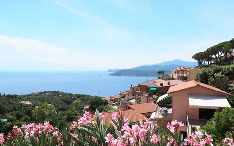 Capoliveri 620: Propriété, Fleur, Plante, Côte, Printemps, Tourisme, Baie, Immobilier, Mer, Vacances