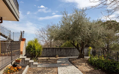 Castagno: Jardin, Dalle, Aménagement Paysager, Pot De Fleur, Passerelle, Arrière-Cour, Clôture, Plante D'Appartement, Cour, Cour