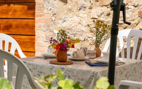 Travale 601: Fleur, Plante, Propriété, Meubles, Pot De Fleur, Fenêtre, Table, Plante D'Appartement, Bois, Orange
