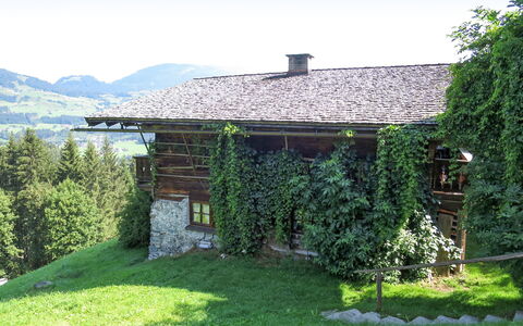 Alte Sahnealm: Ciel, Plante, Bâtiment, Paysage Naturel, Lot Terre, Herbe, Arbre, Chalet, Zone Rurale, Couverture De Sol