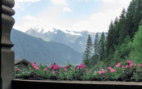 Ratschnhof: Montagnes Relief, La Nature, Montagne, Chaîne De Montagnes, Région Sauvage, Alpes, Fleur, Paysage Naturel, Plante, Ciel