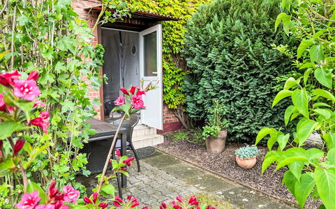 Jana: Vert, Feuille, Arbuste, Jardin, Pot De Fleur, Printemps, Couverture De Sol, Cour, Plante D'Appartement