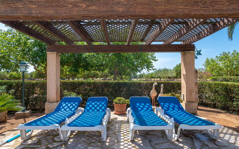 Son Viquet: Plante, Meubles, Ombre, Mobilier De Jardin, Arbre, Loisir, Immobilier, Balancelle, Paysage, Herbe