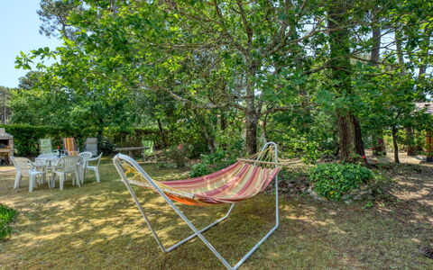 La Bruyère: Plante, Ombre, Arbre, Chaise, Herbe, Suppression Des Plantes Ligneuses, Paysage Naturel, Mobilier De Jardin, Teintes Et Ombres