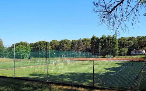 Grado 653: Ciel, Plante, Arbre, Clôture, Lot Terre, Ombre, Herbe, Engrener, Escrime Wire, Équipement Sportif