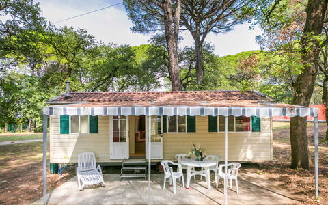 Logement:&nbsp;Belvedere Pineta Camping Village 653.3