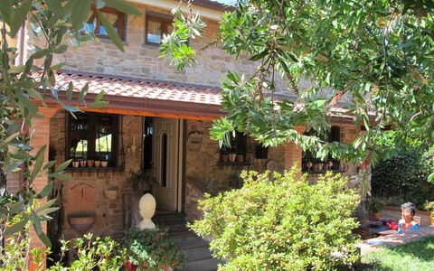 Capo Corso: Plante, Bâtiment, Fenêtre, Pot De Fleur, Maison, Ombre, Arbre, Plante D'Appartement, Chalet, Quartier