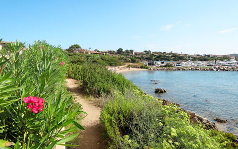 Golfo Aranci 606: Paysage Naturel, Végétation, La Nature, Rive, Côte, Réserve Naturelle, Plante, Mer, Fleur, Banque